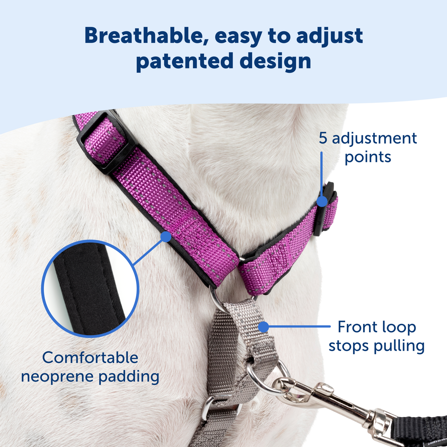 3 in 1 Harness