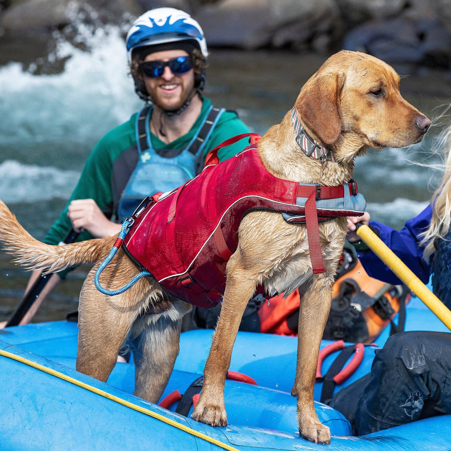 Surf N Turf Dog Life Jacket