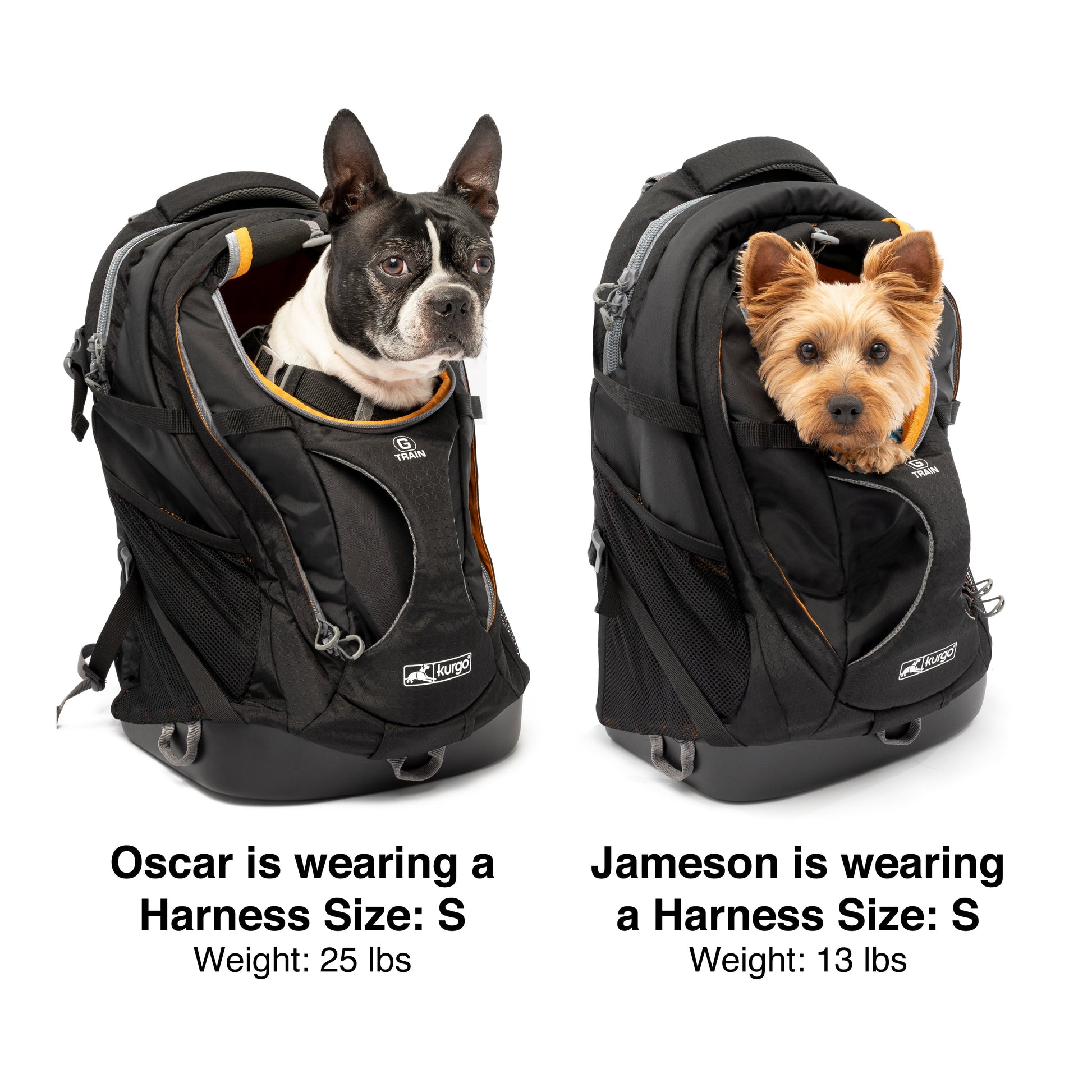 Use this image as a size reference.