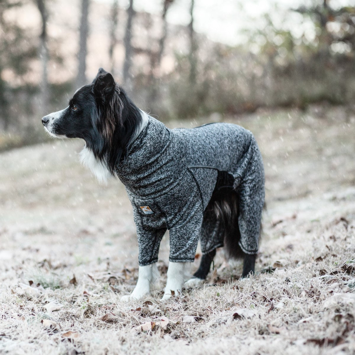Stowe Base Layer