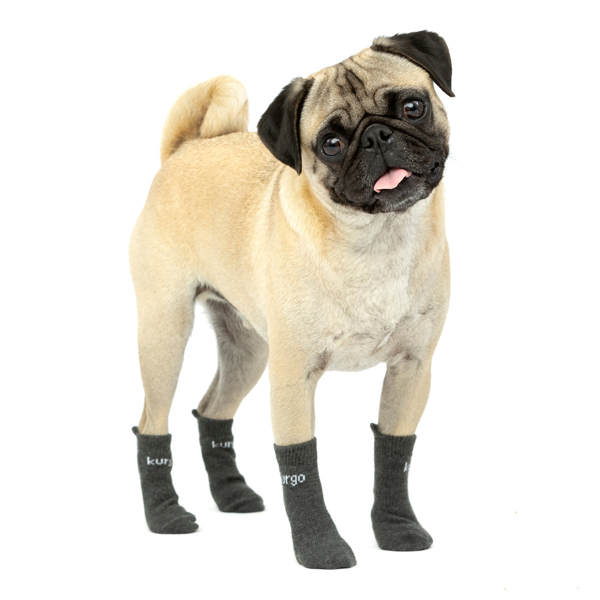 Blaze Dog Socks