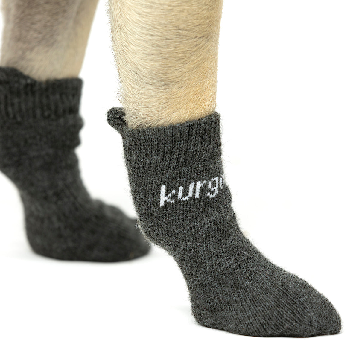 Blaze Dog Socks