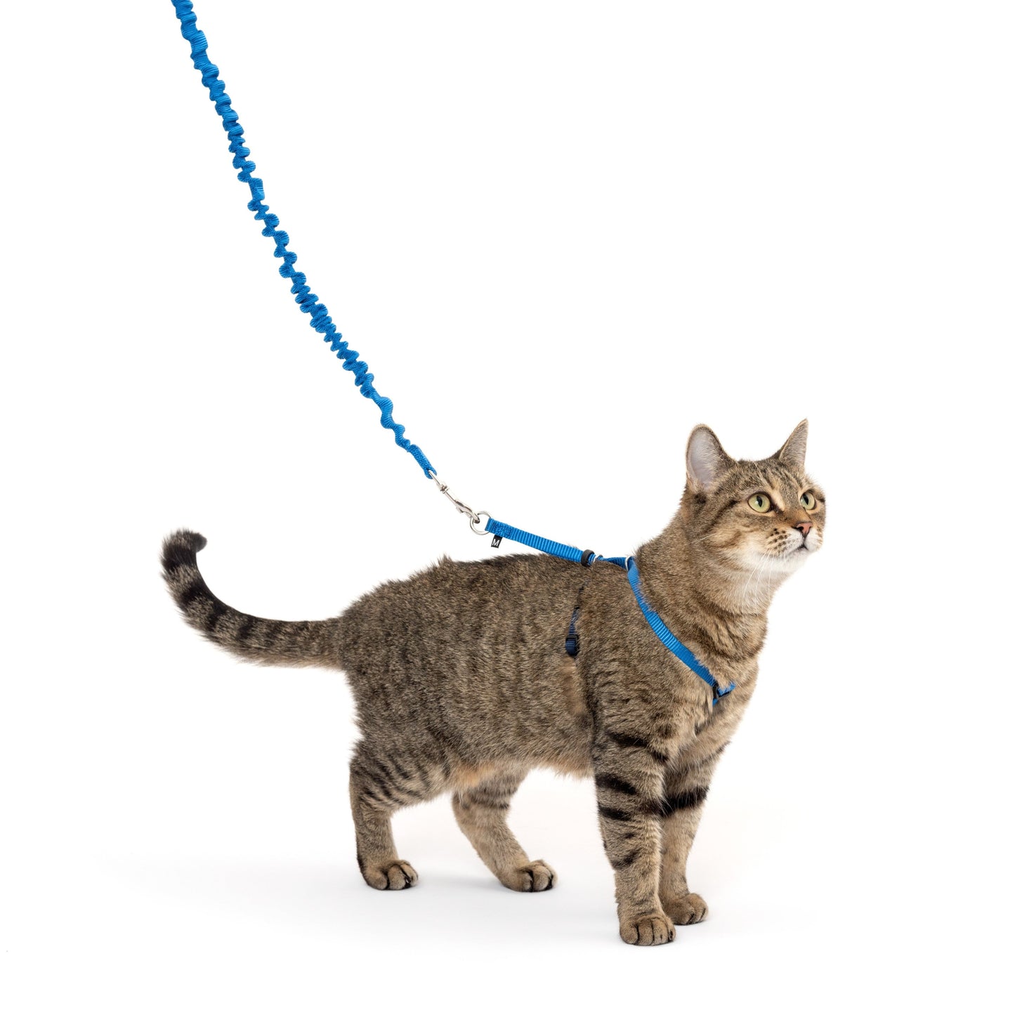 Come With Me Kitty™ Cat Harness & Bungee Leash