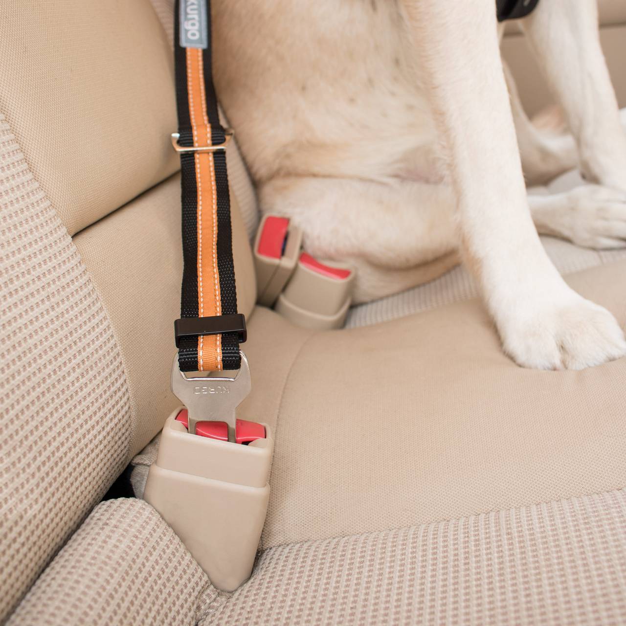 Direct to Seatbelt Tether