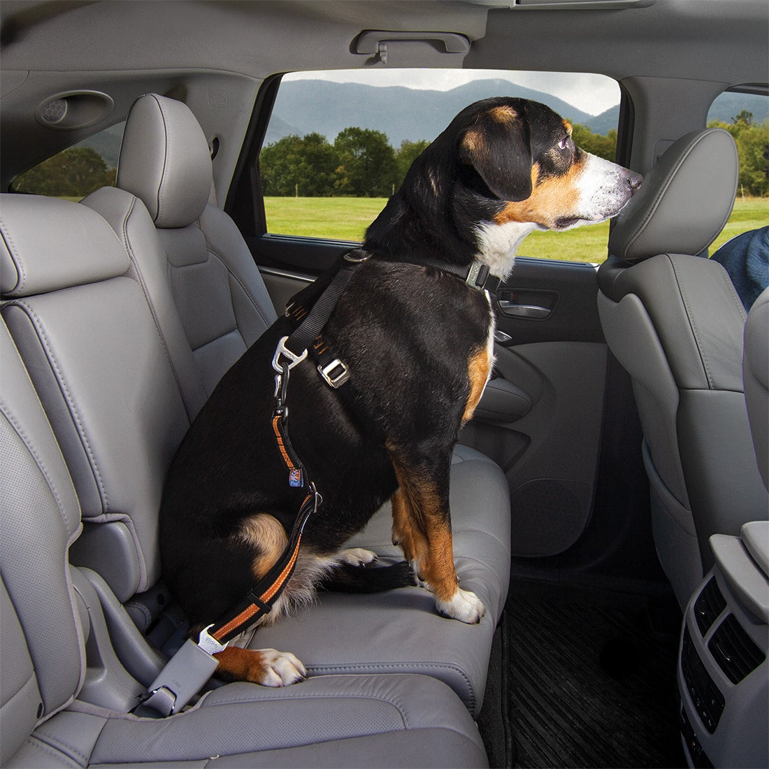 Direct to Seatbelt Swivel Tether