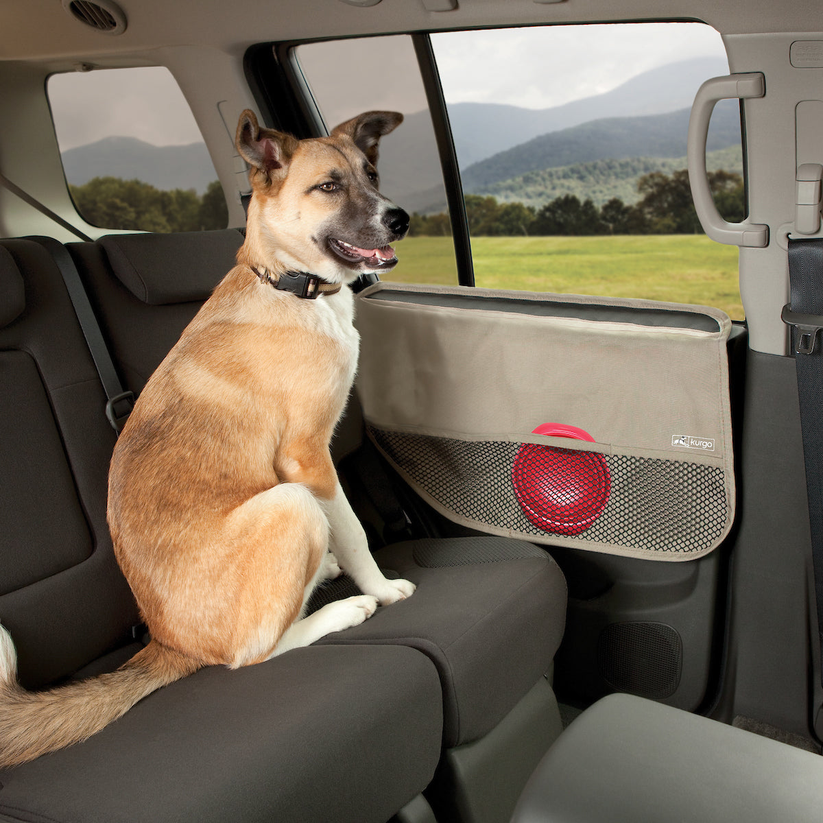 Rover Car Door Guard