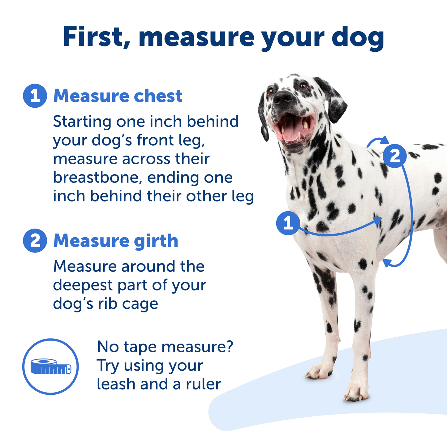 Easy Walk® Harness, No Pull Dog Harness
