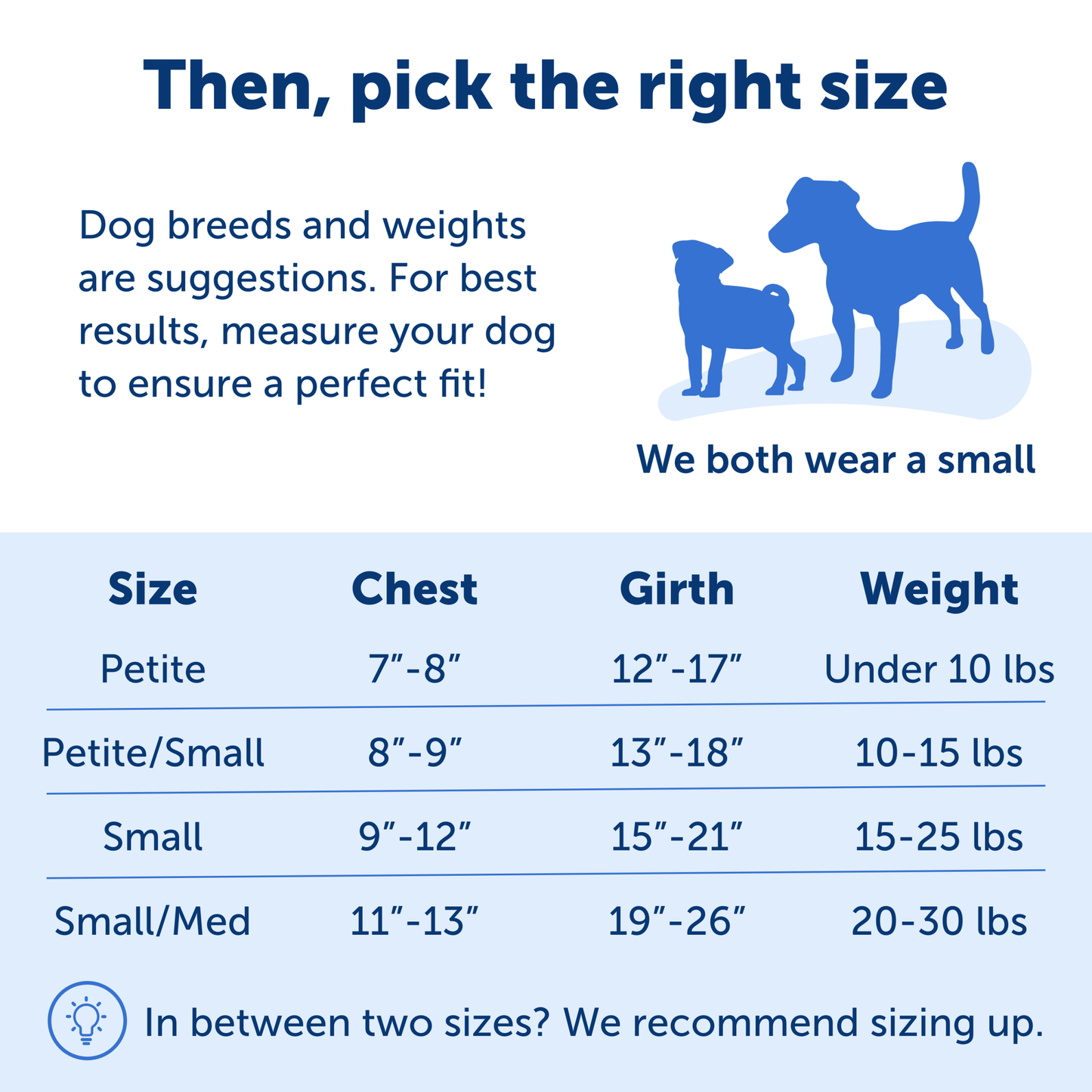 Easy Walk® Harness, No Pull Dog Harness
