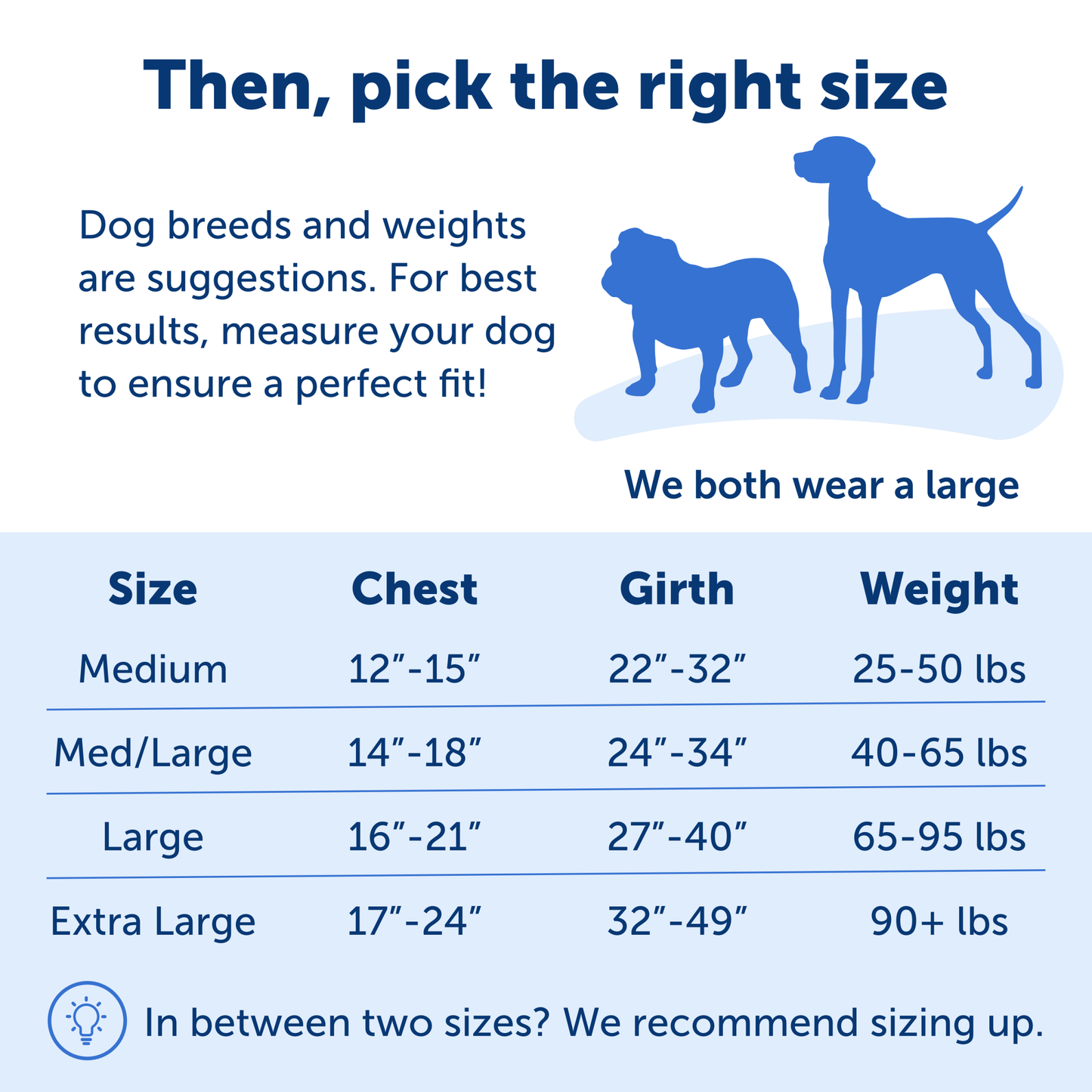 Easy Walk® Harness, No Pull Dog Harness