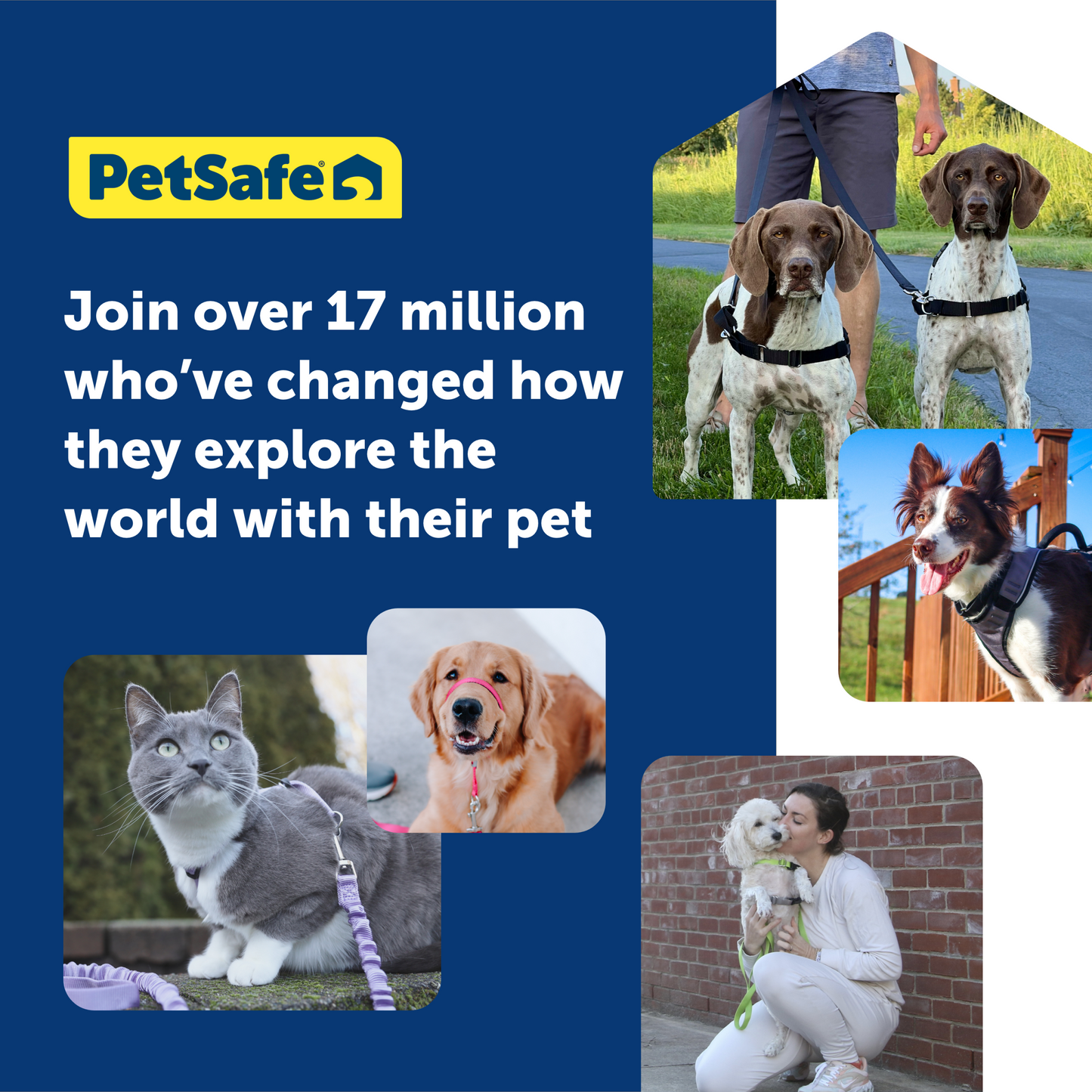 Easy Walk® Harness, No Pull Dog Harness