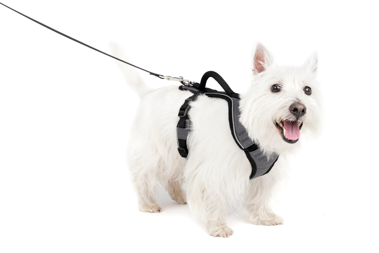EasySport Harness