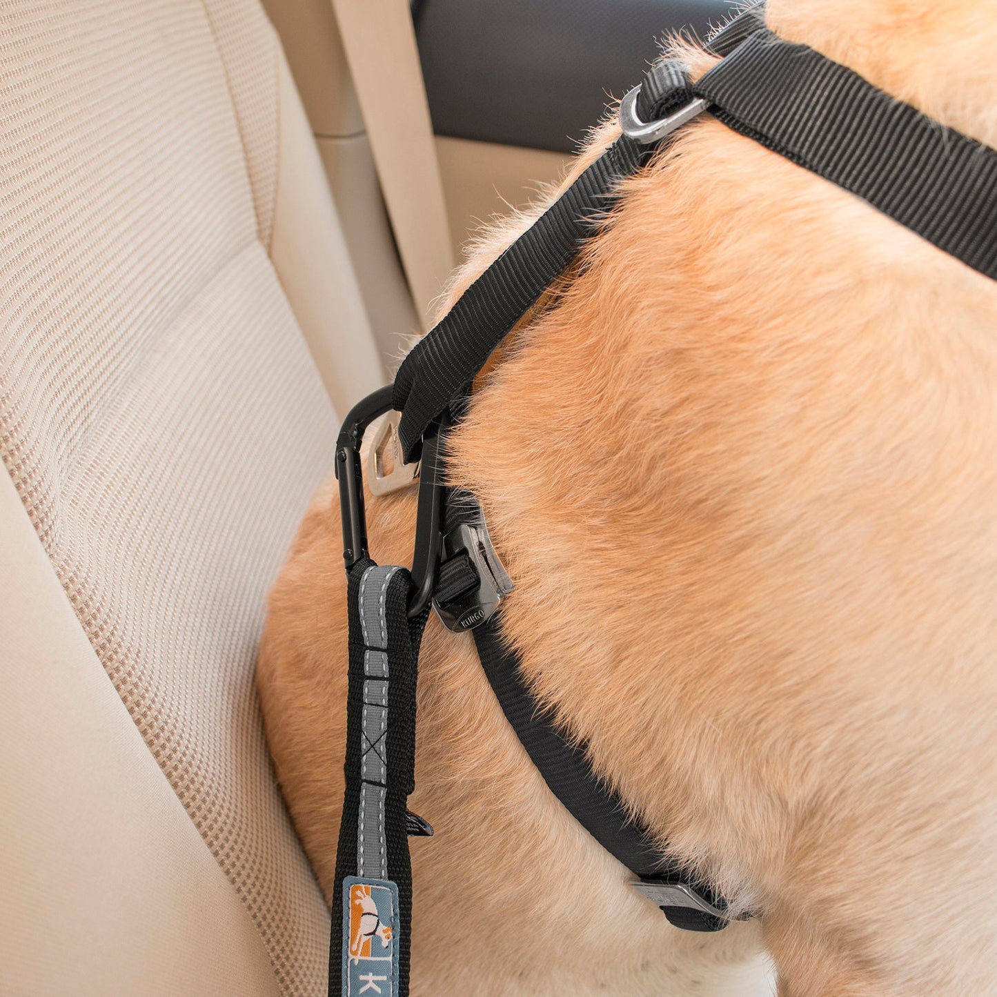 Direct to Seatbelt Tether