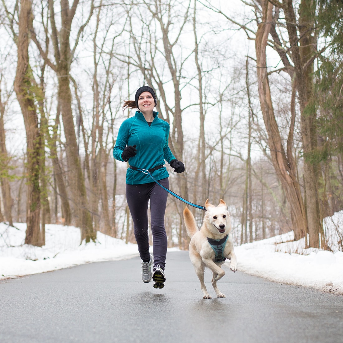 Quantum 6-in-1 Dog Leash