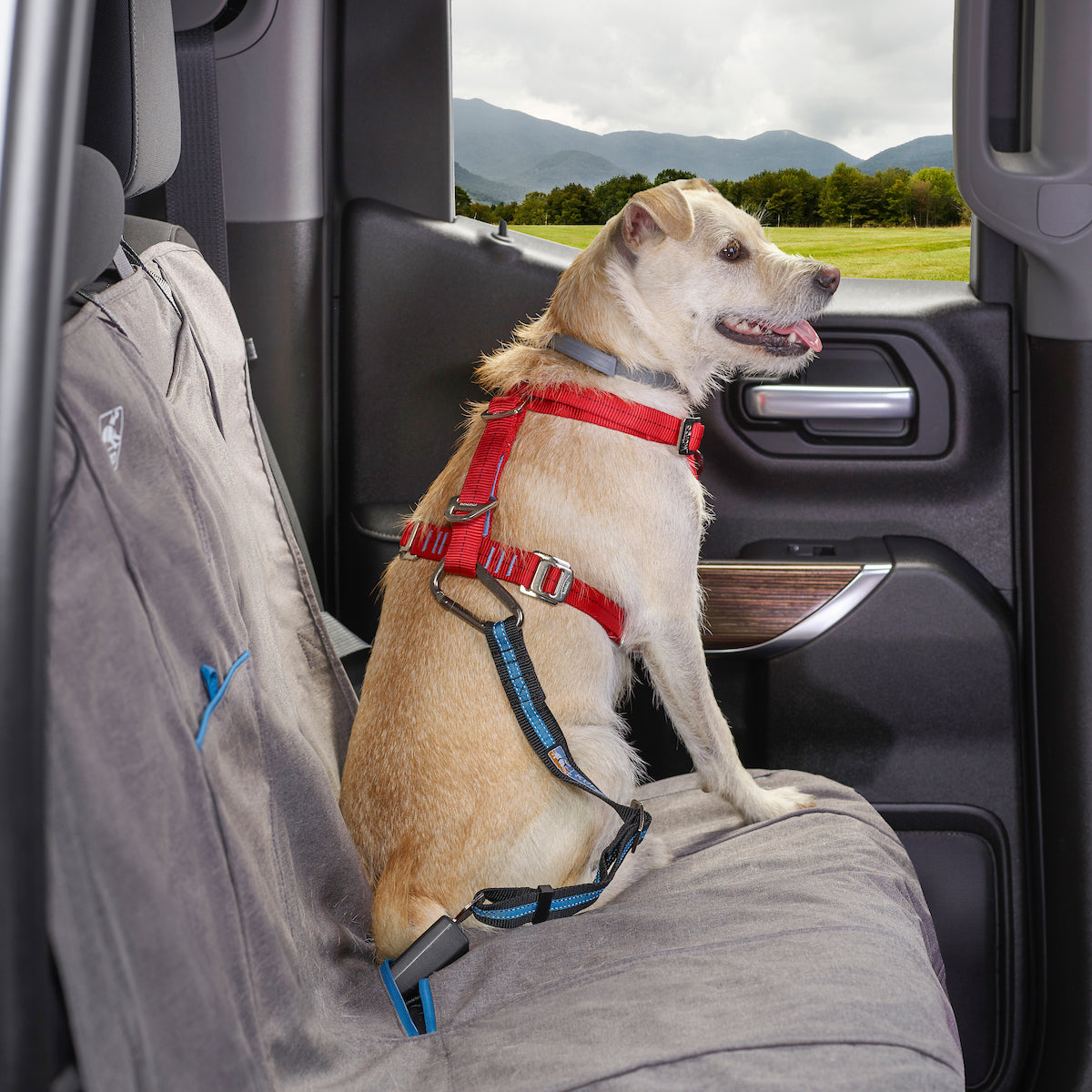Direct to Seatbelt Tether