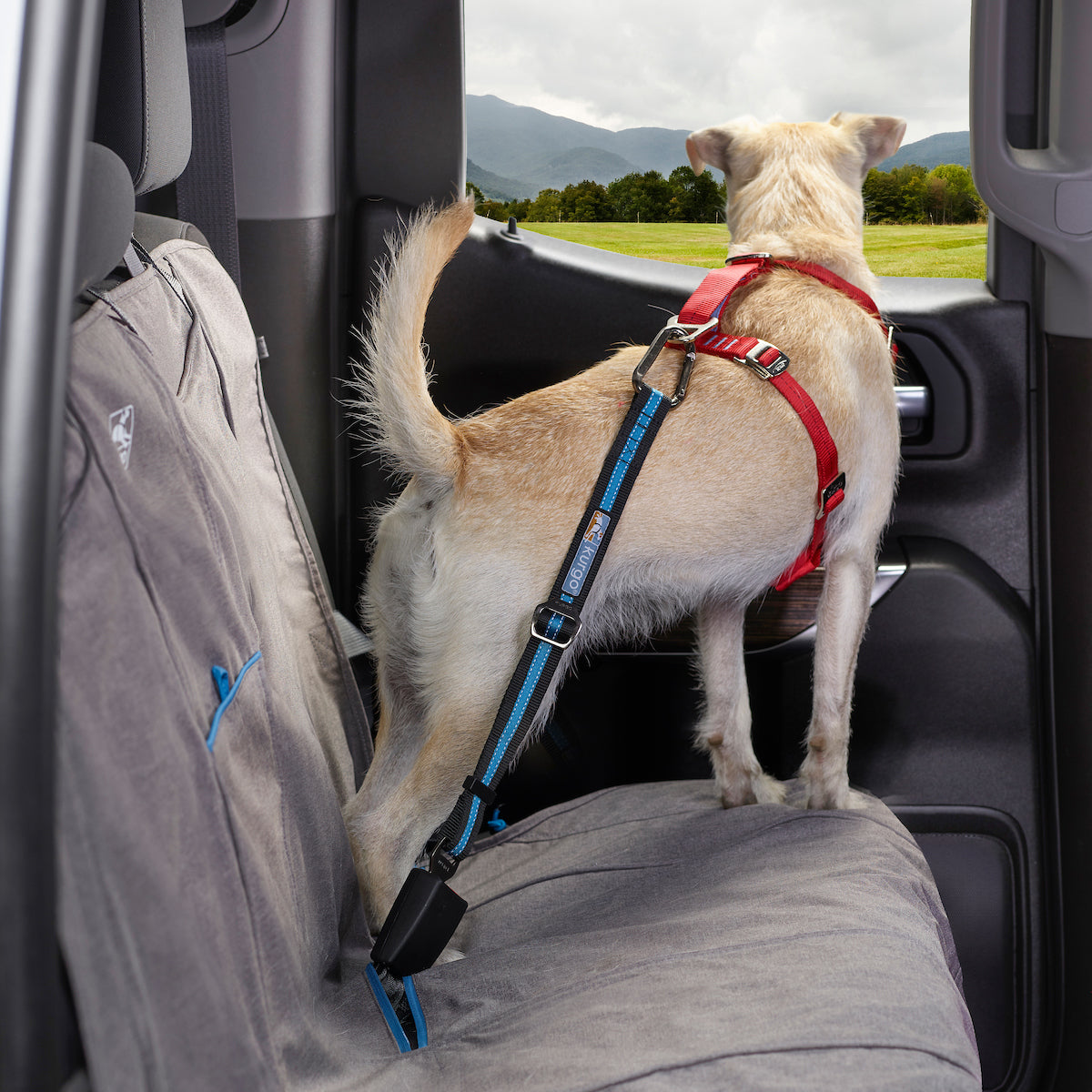 Direct to Seatbelt Tether