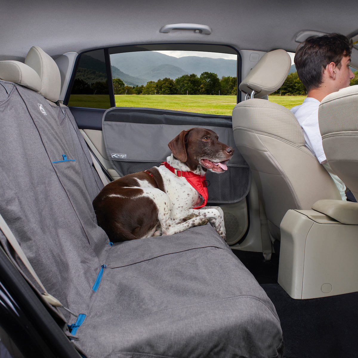 Rover Car Door Guard