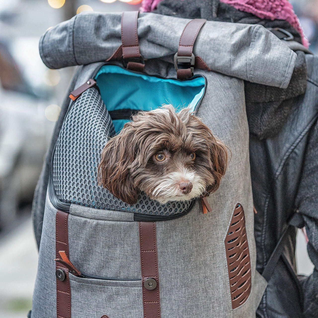 Rucksack