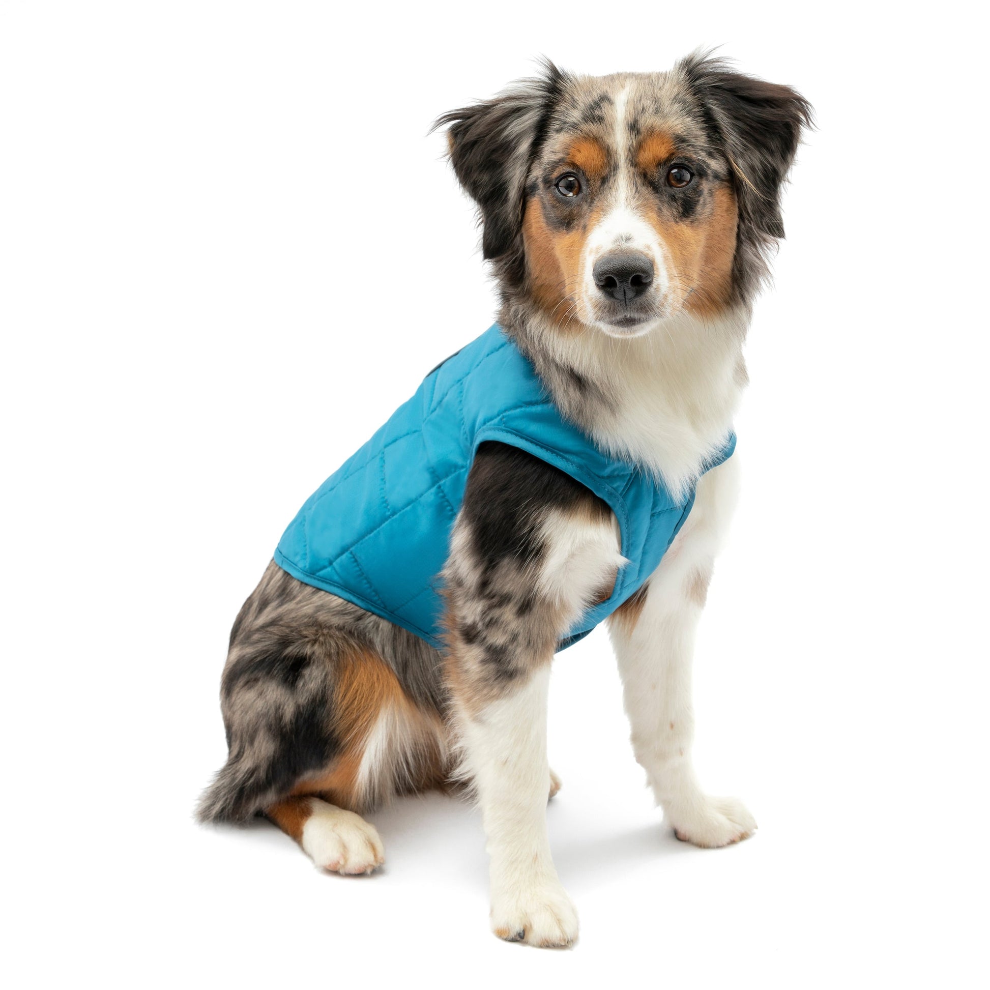 Mac is wearing the Loft Jacket in Coastal Blue.