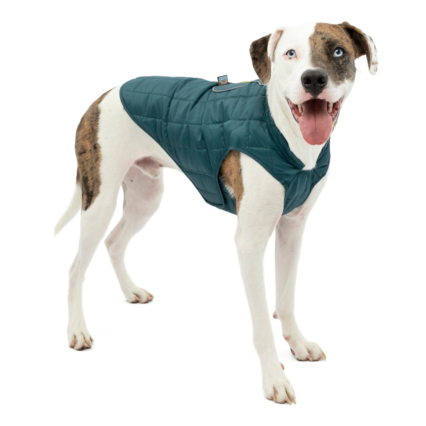 Mac is wearing the Loft Jacket in Ink Blue.