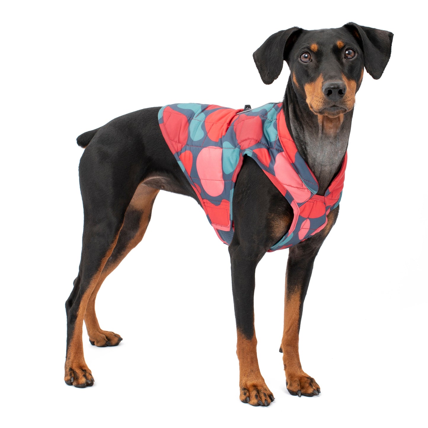 Jinx is wearing the Loft Jacket in Lava Lamp.