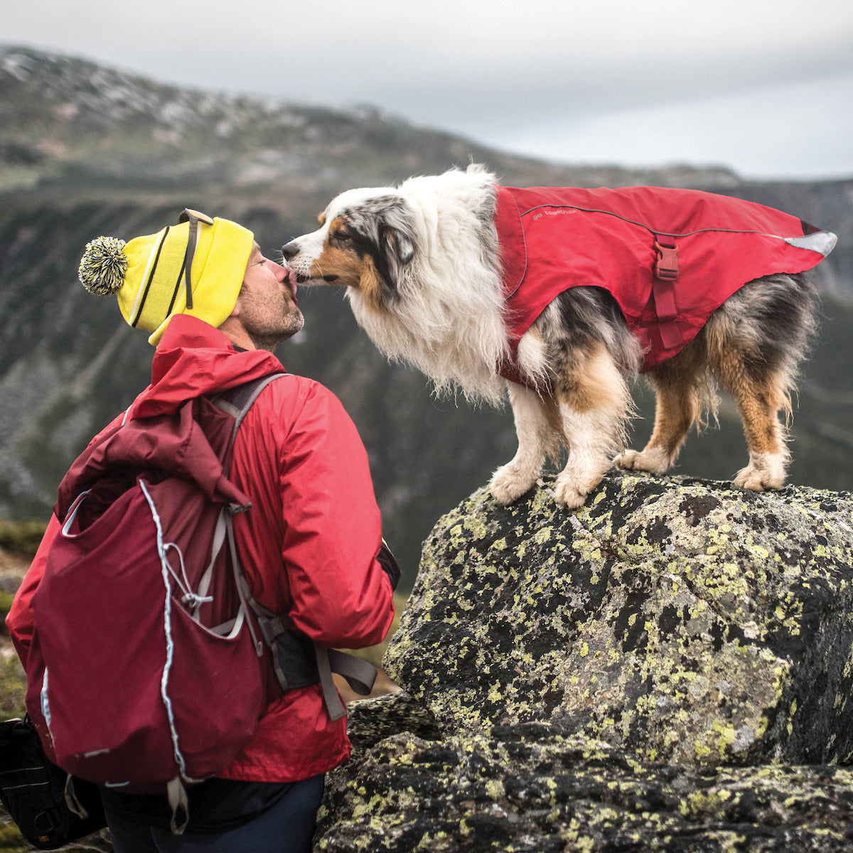 North Country Dog Coat
