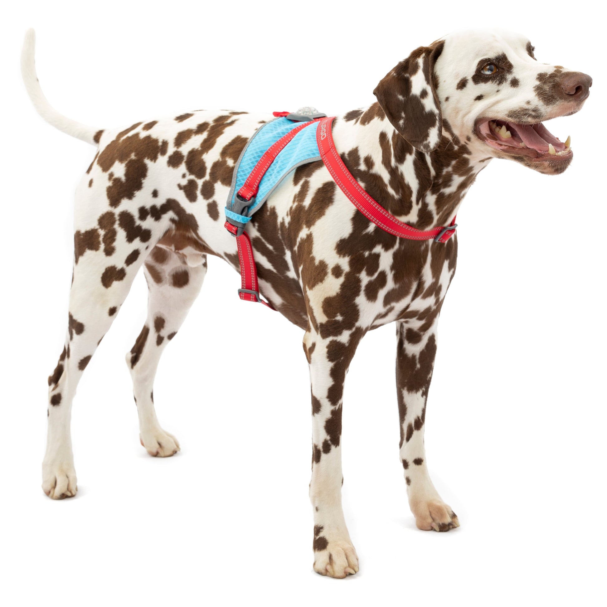 Kobi is wearing the On-Trail Run-Lite Vest in size Large.