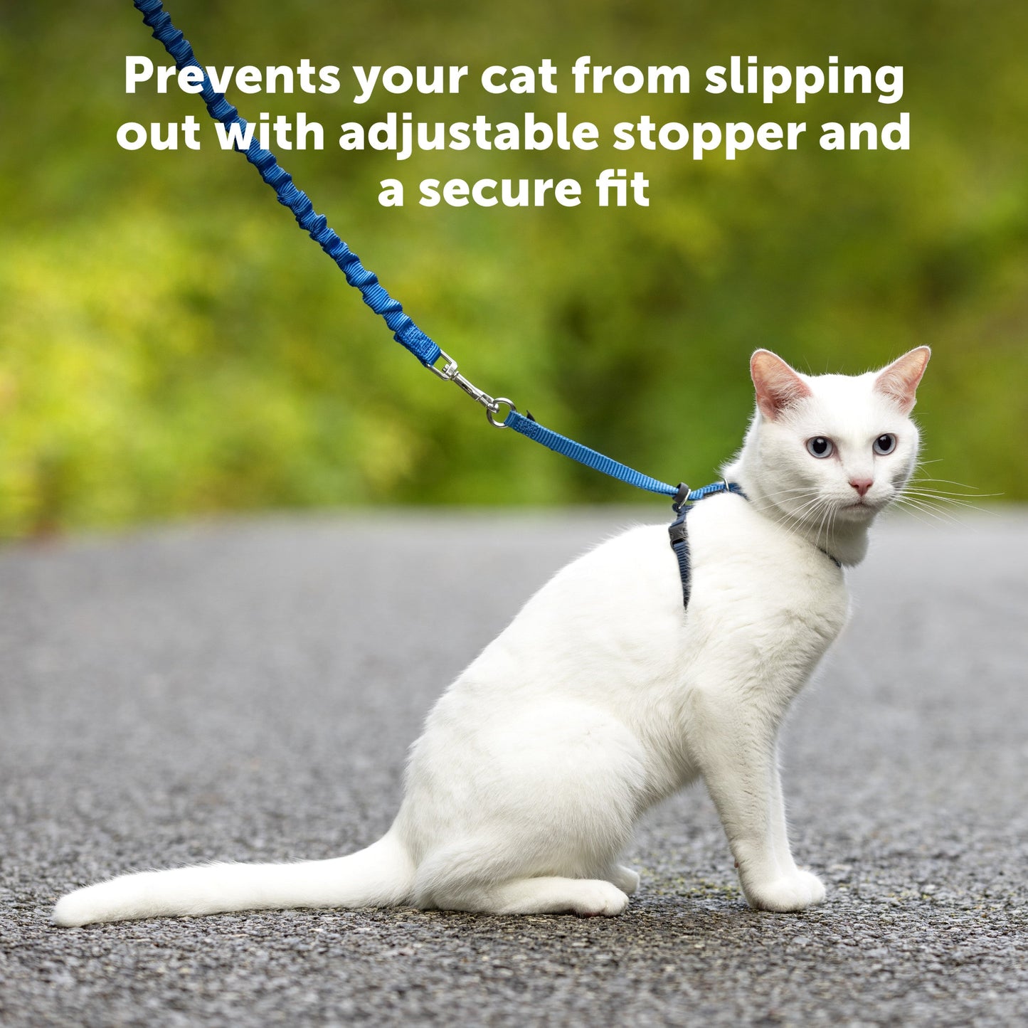 Come With Me Kitty™ Cat Harness & Bungee Leash
