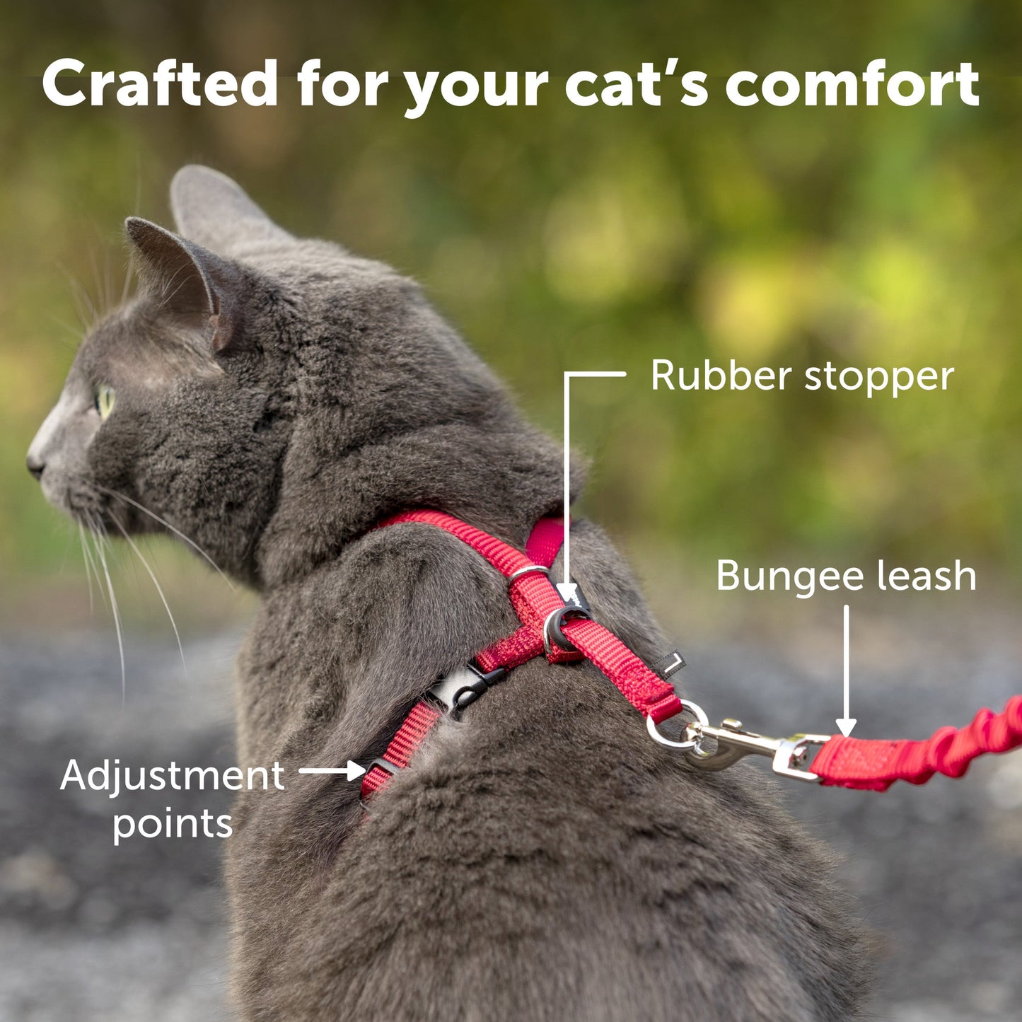 Come With Me Kitty™ Cat Harness & Bungee Leash