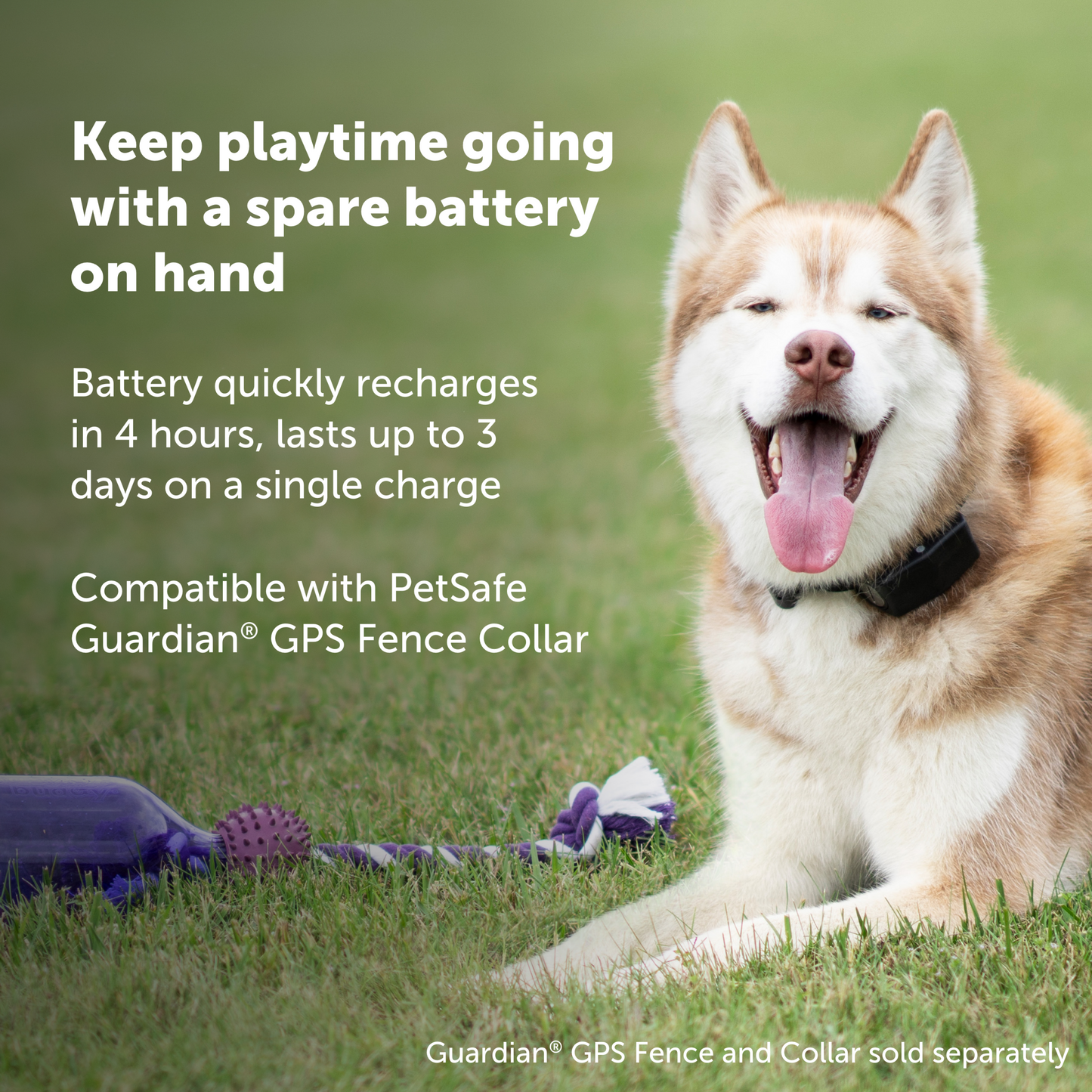 Guardian® GPS Fence Collar Battery