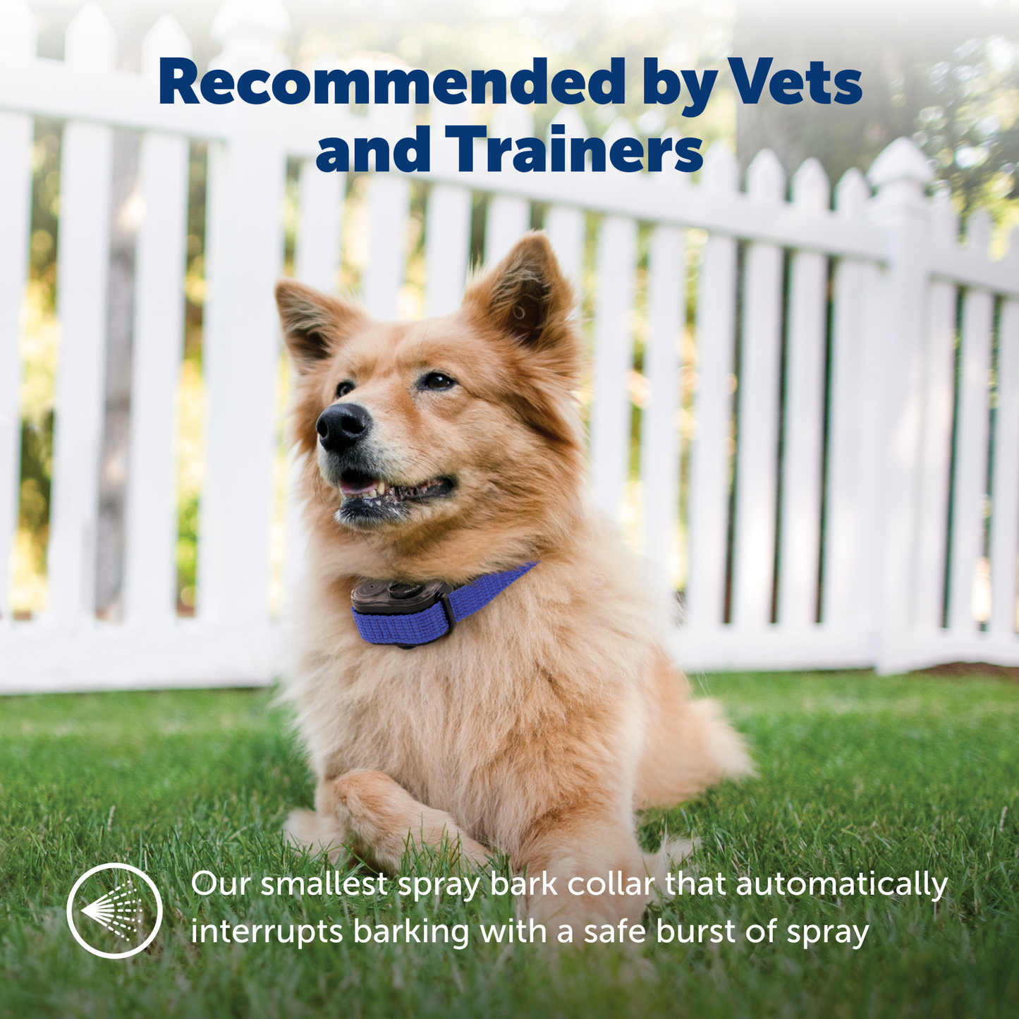 Elite Little Dog Spray Bark Control