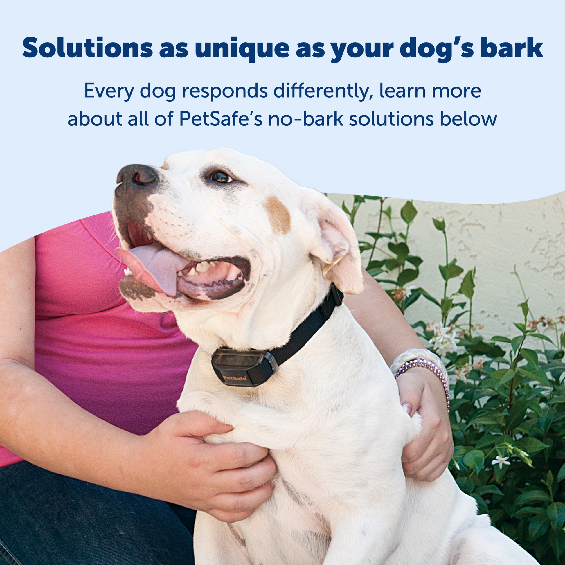 Vibration Bark Control Collar