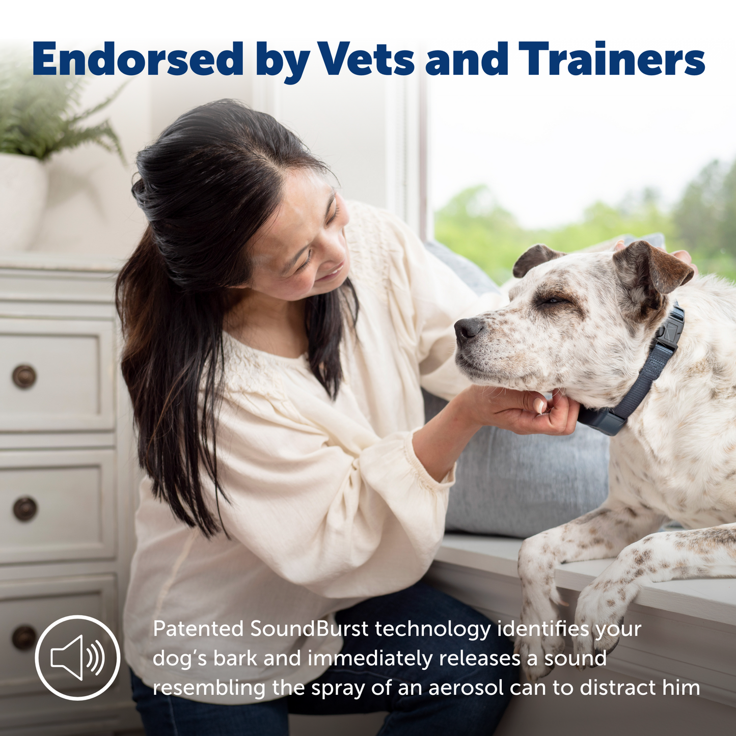 Audible Bark Collar