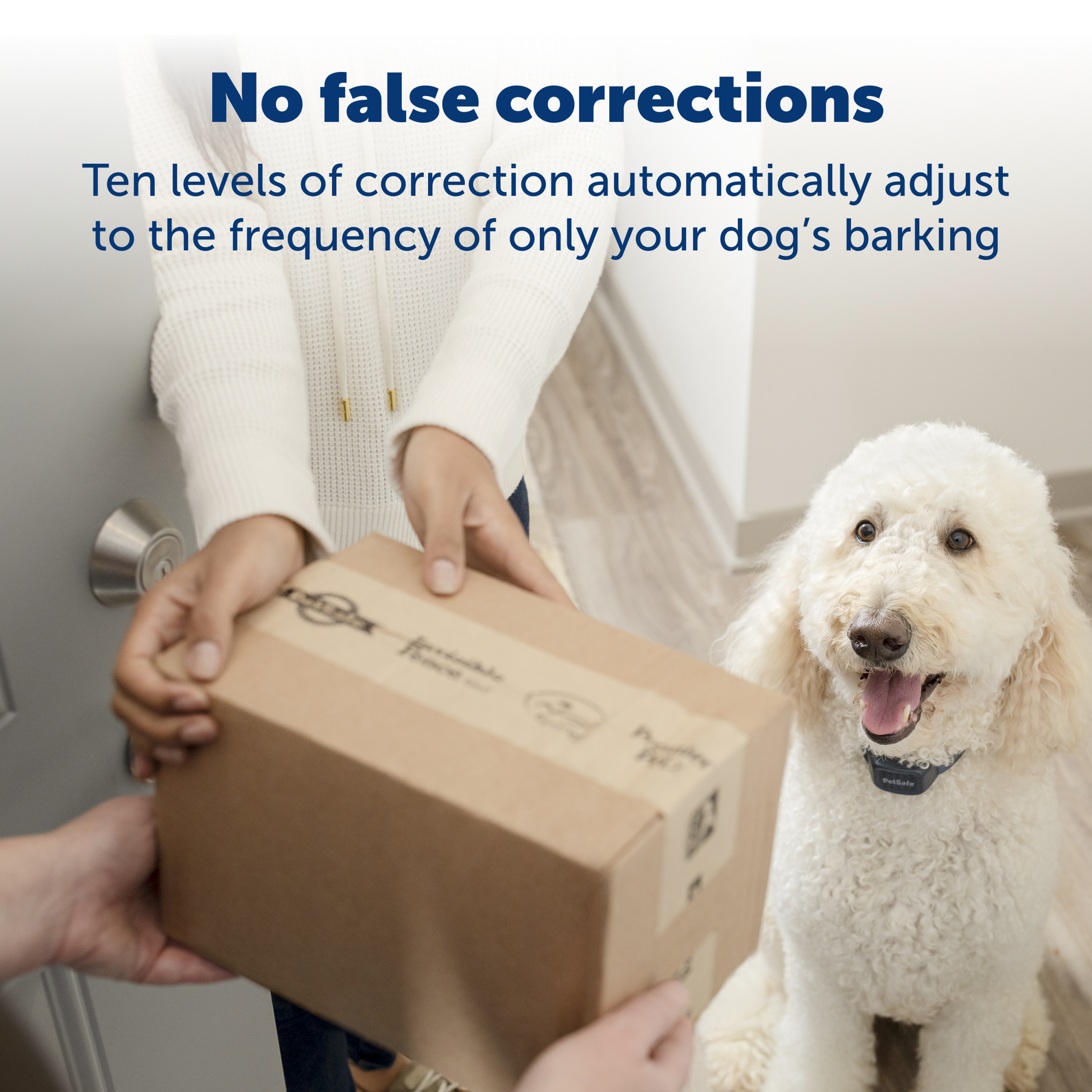 Audible Bark Collar