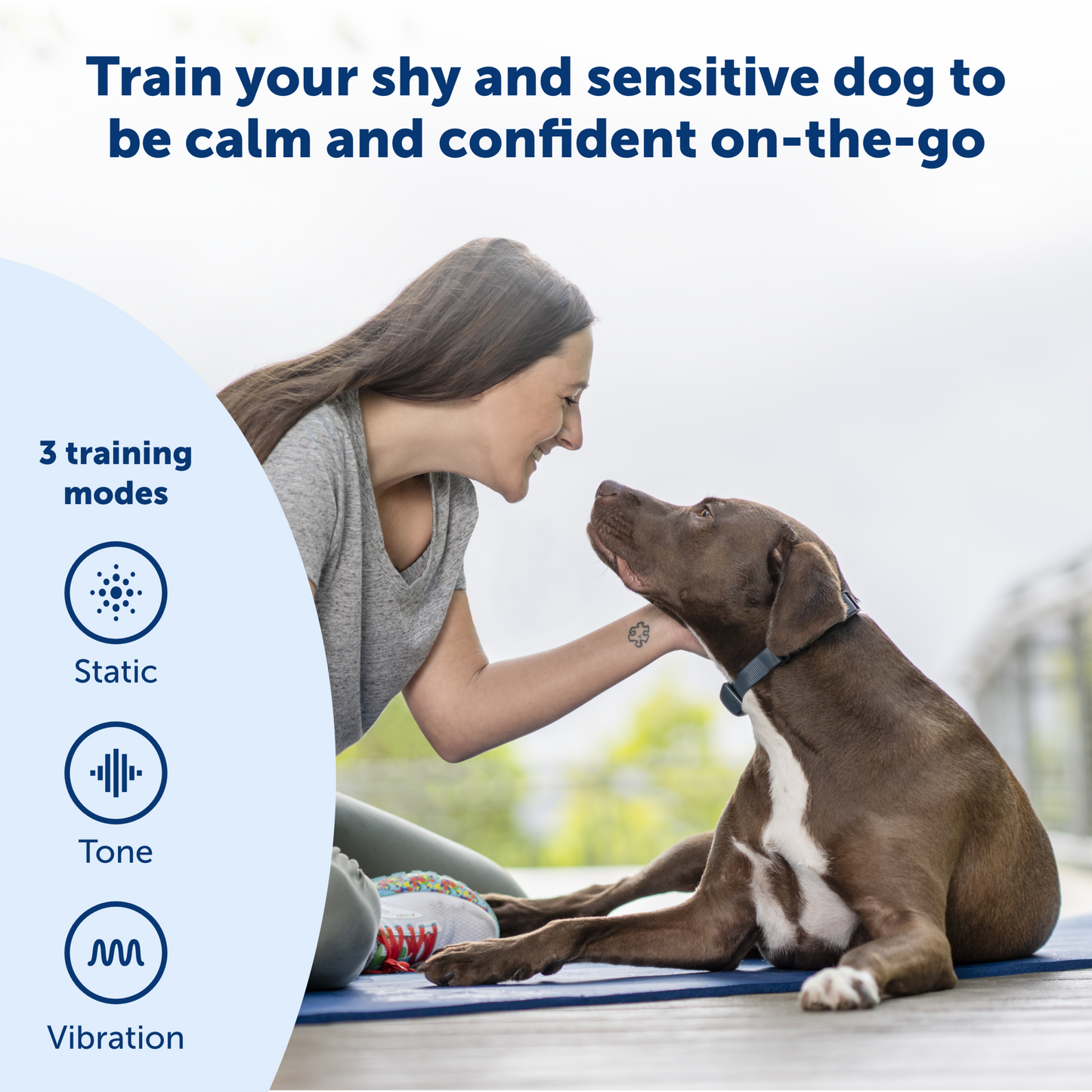 parent playing with their dog thats calm and confident