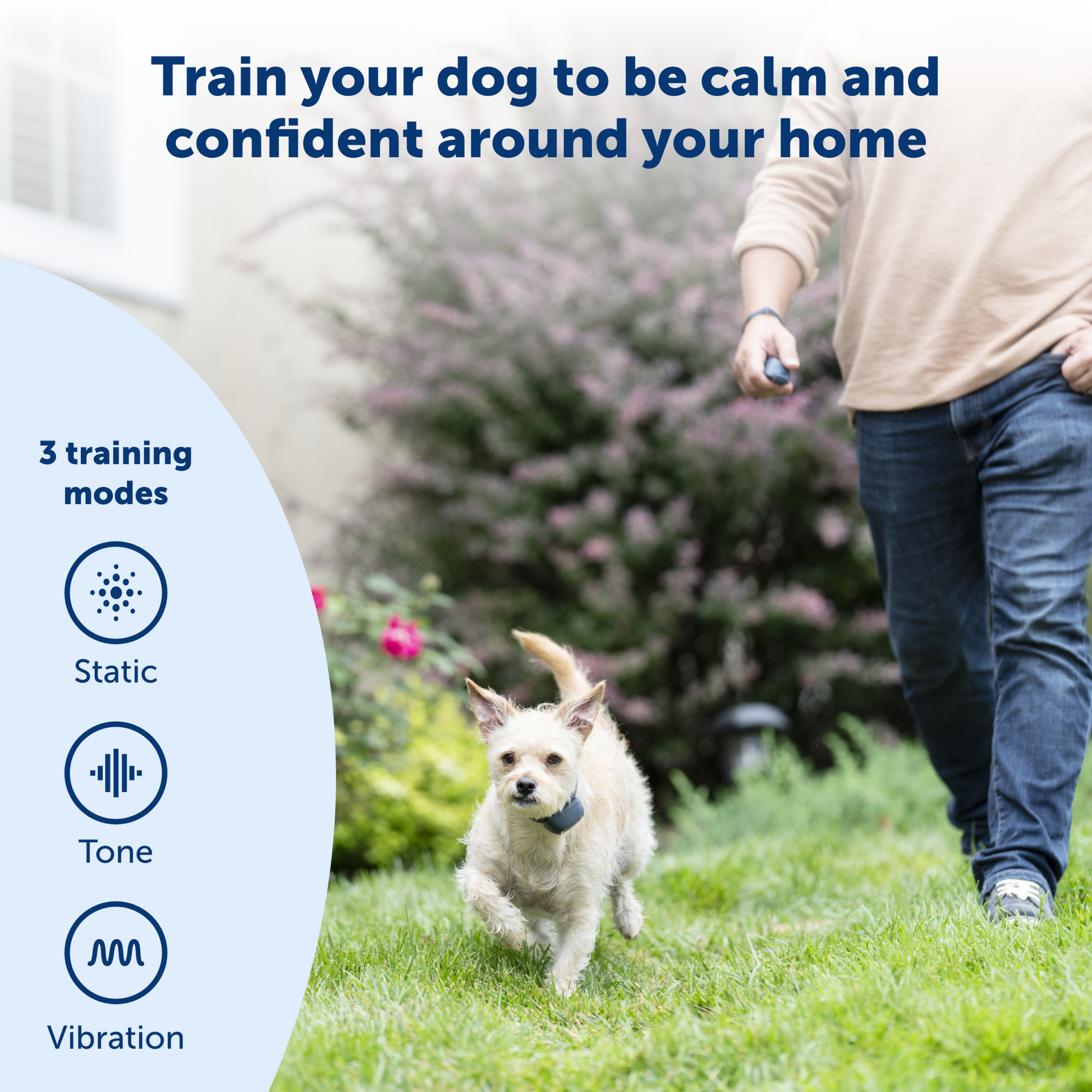 parent playing with their dog thats calm and confident
