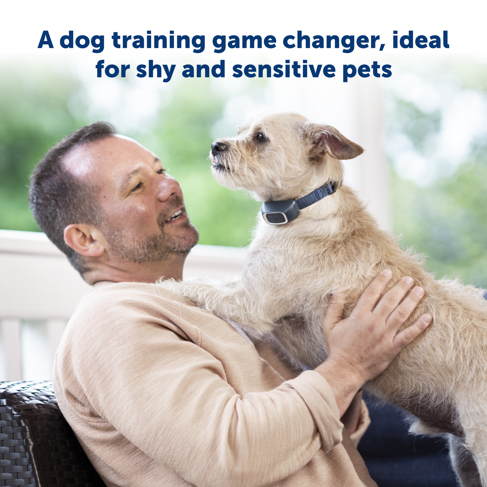 dog owner having quality time with his pup
