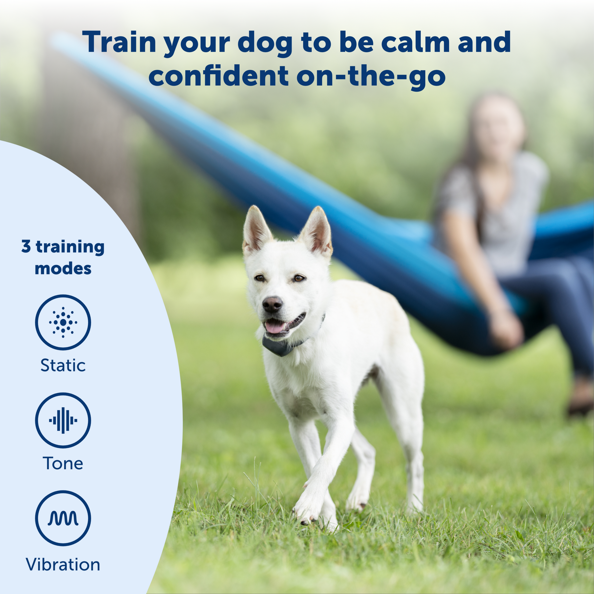 parent playing with their dog thats calm and confident
