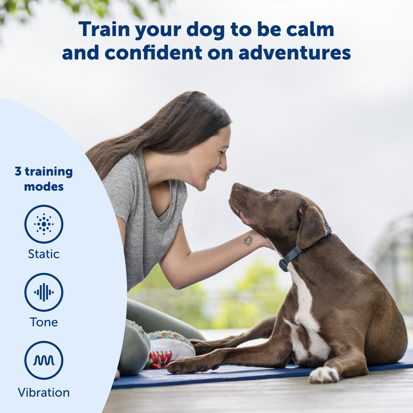parent playing with their dog thats calm and confident
