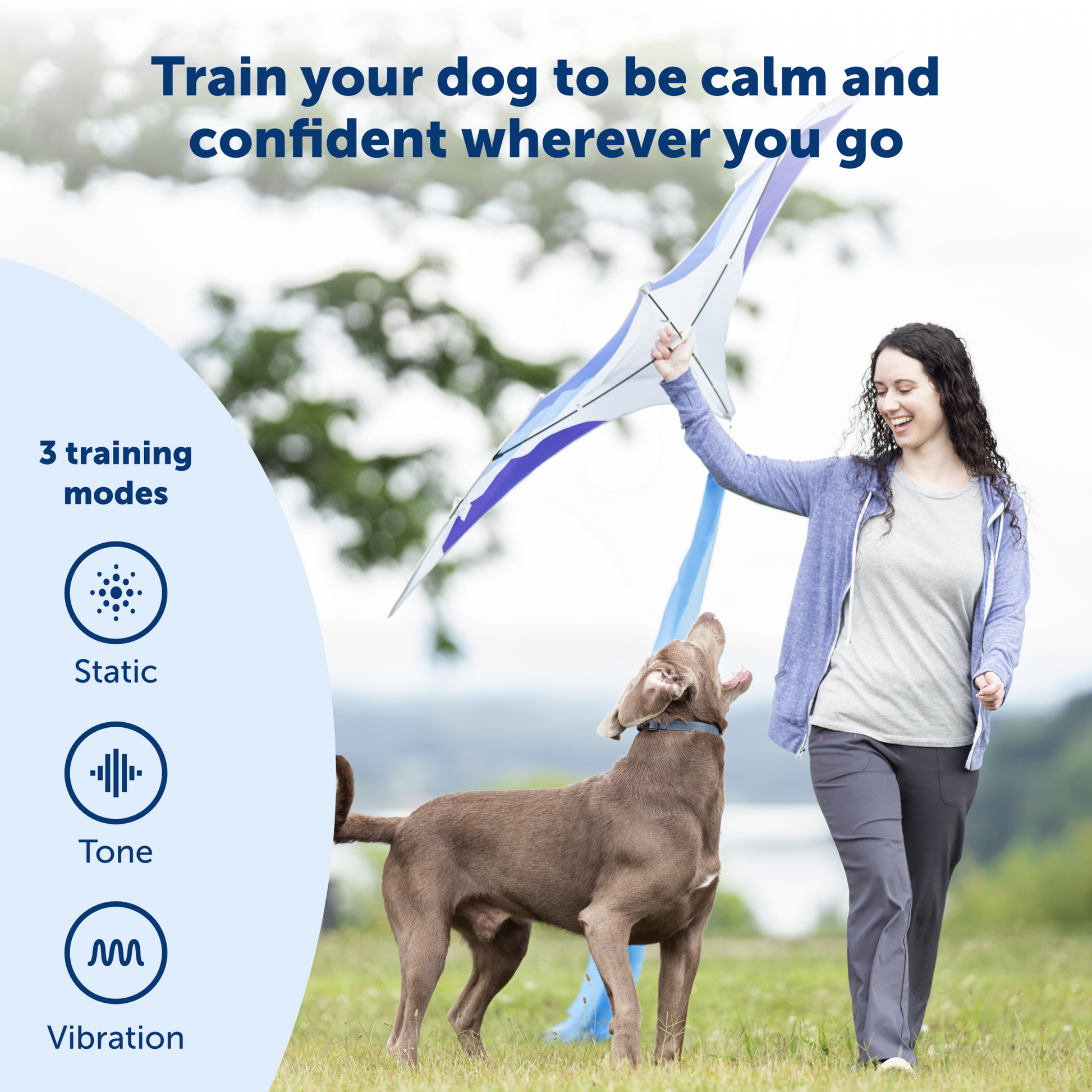 parent playing with their dog thats calm and confident