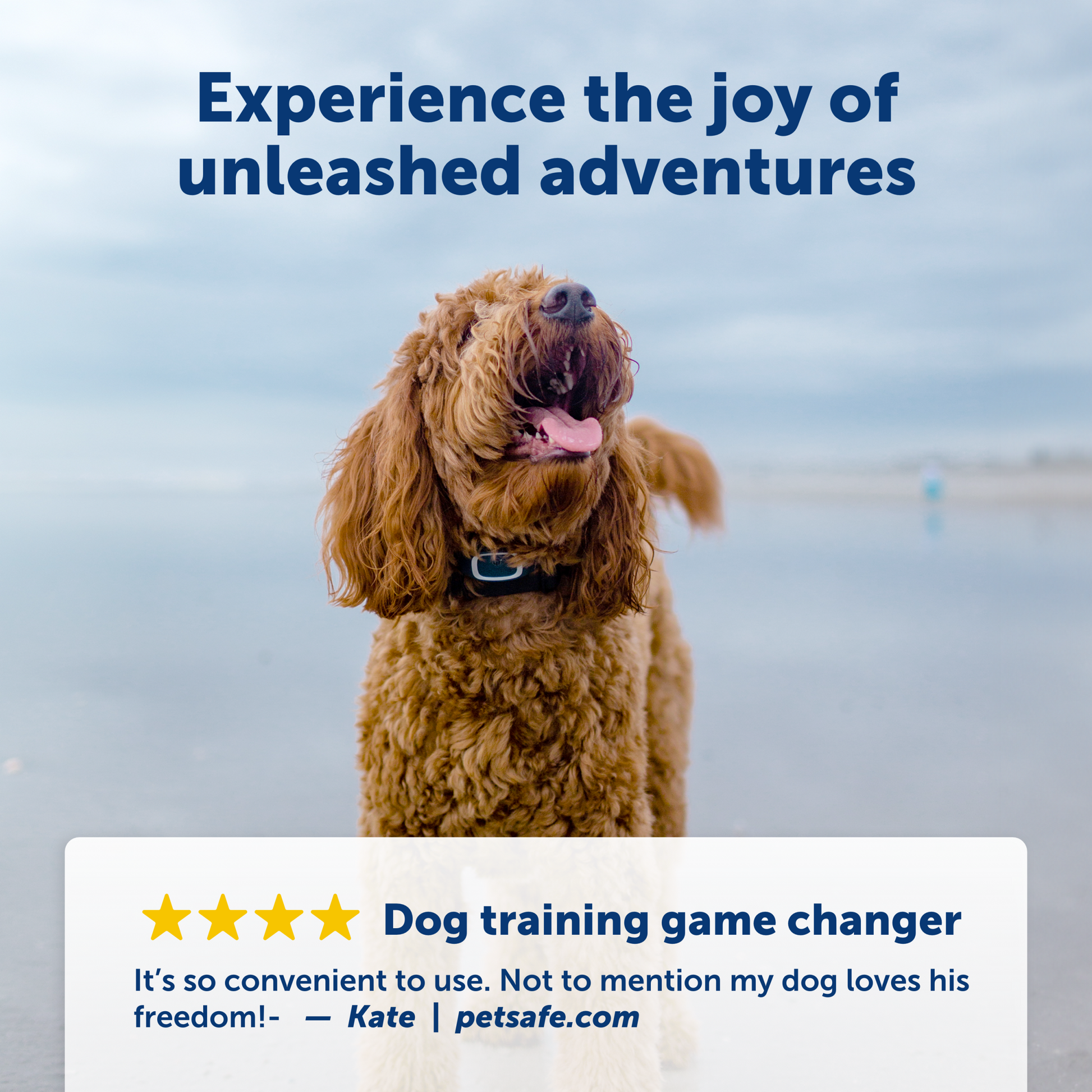 doodle having a day on the beach with text overlay