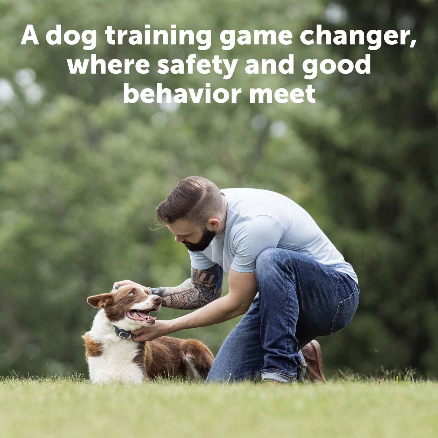 dog owner having quality time with his pup