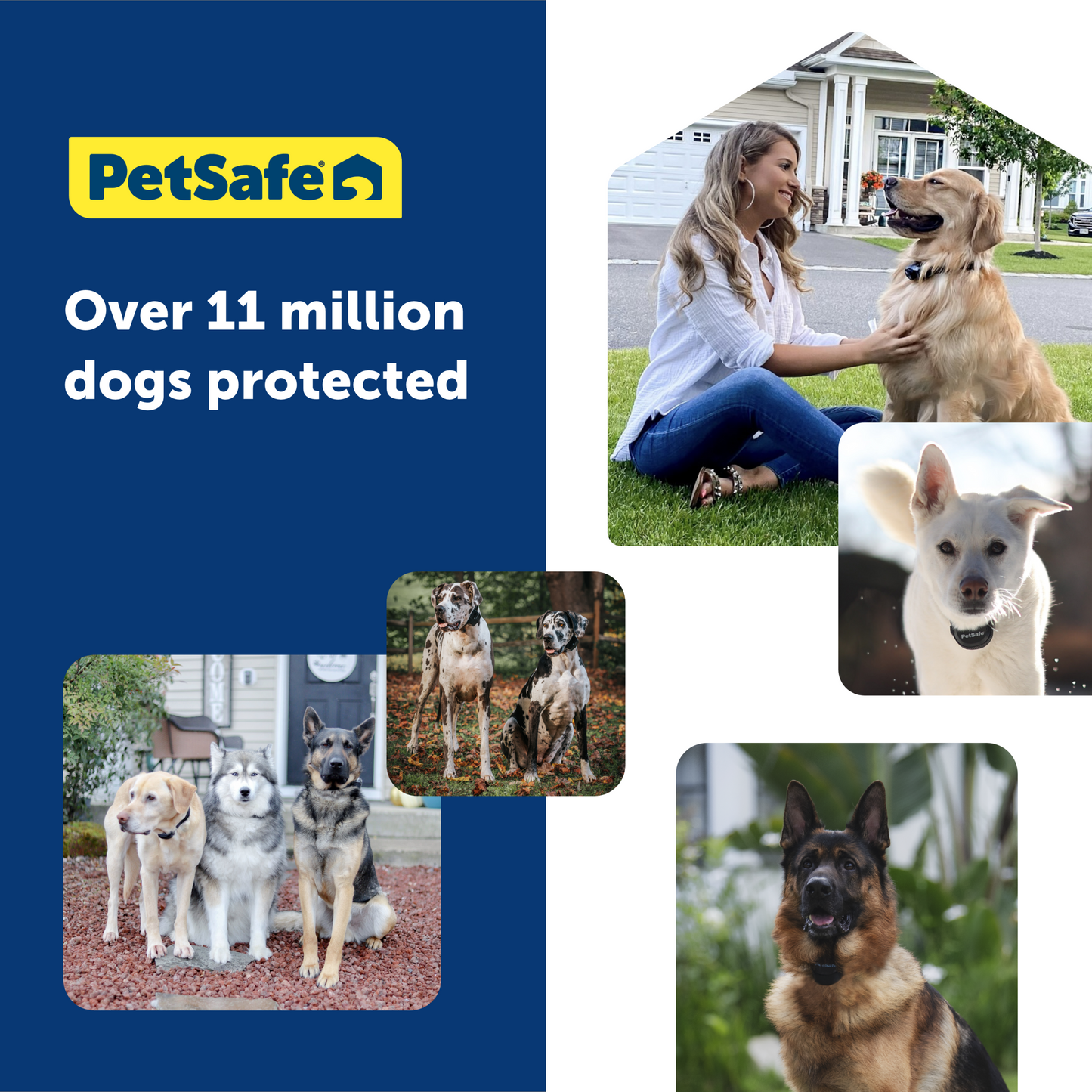 Guardian® GPS + Tracking Dog Fence Collar