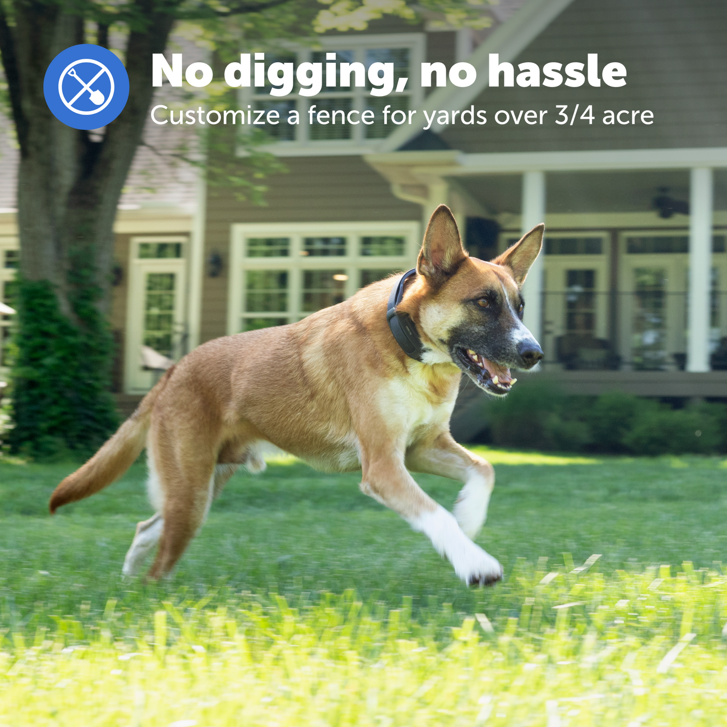 Guardian® GPS Dog Fence