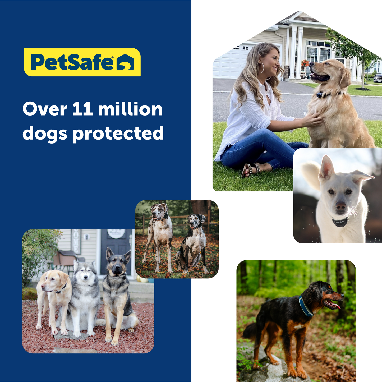 Guardian® GPS Dog Fence