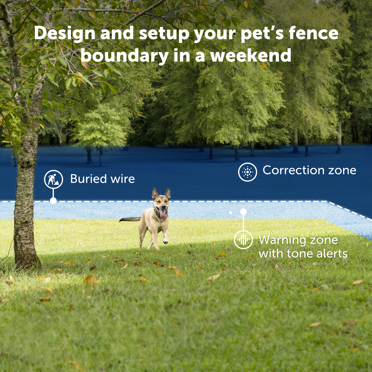 Basic In-Ground Fence™ System