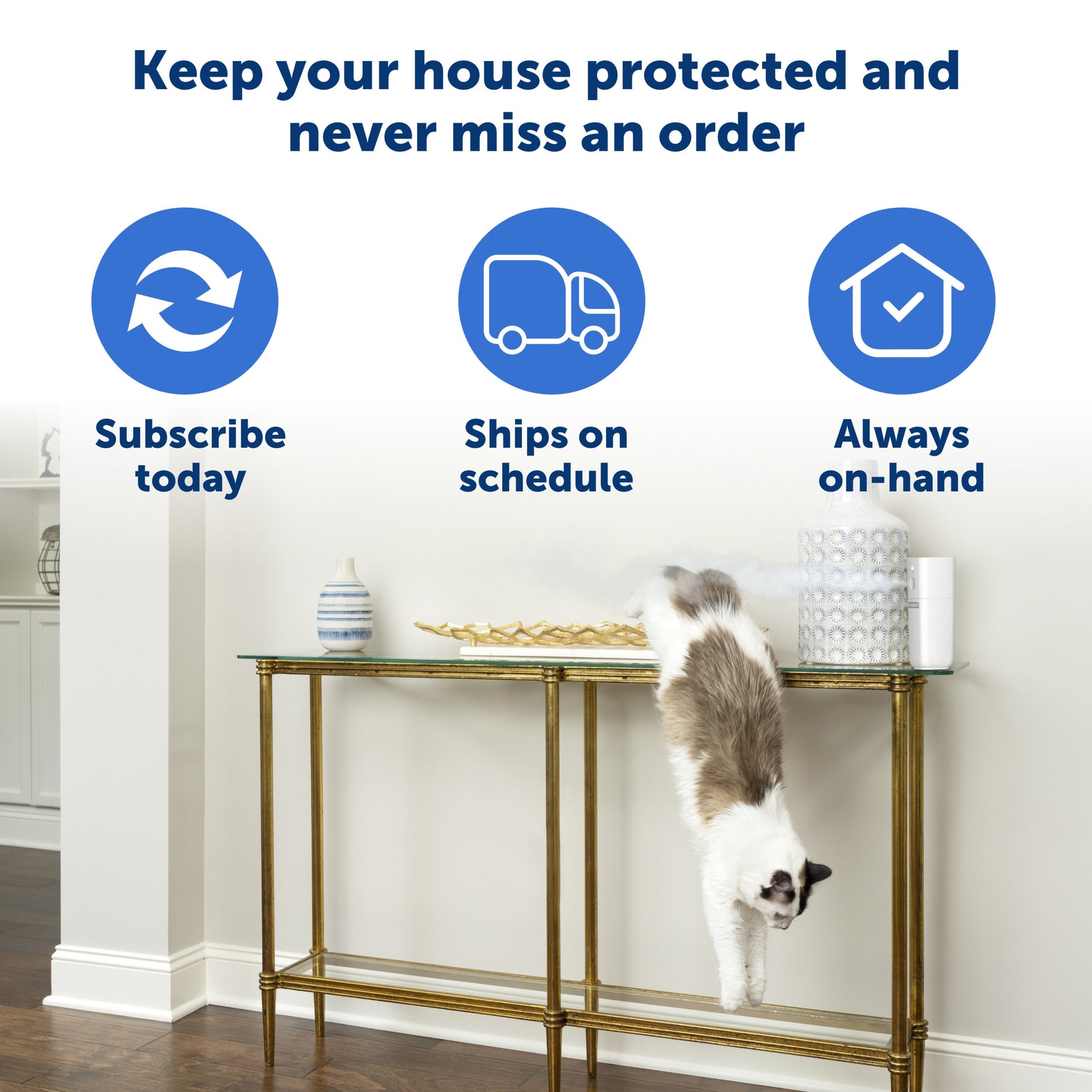 Keep your house protected and never miss an order