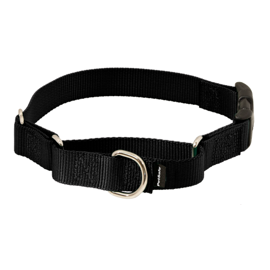 Martingale Collar with Quick Snap Buckle