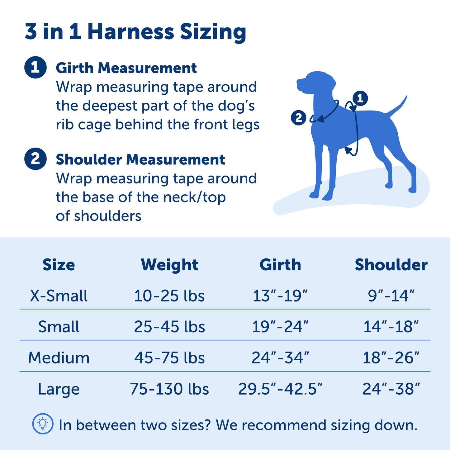 3 in 1 Harness