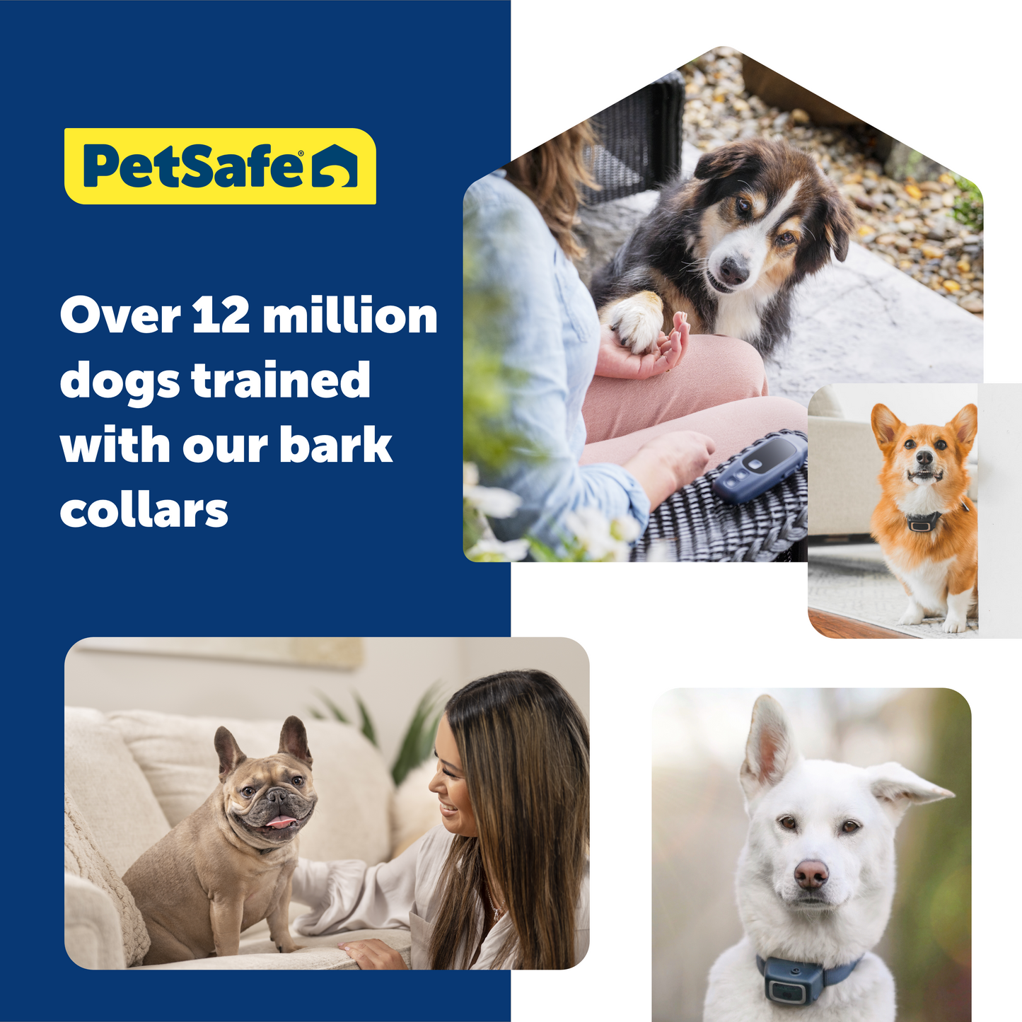 Images of different dogs and PetSafe statement 'Over 12 million dogs trained with our bark collars'