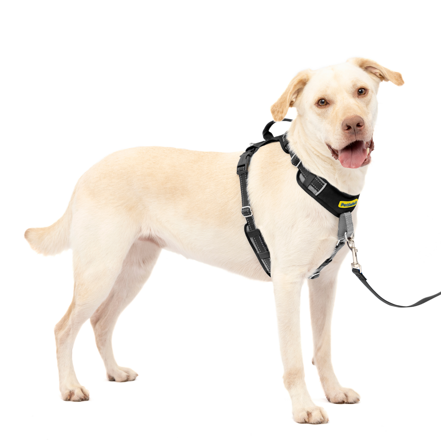 Easy Walk® Comfort No-Pull Dog Harness